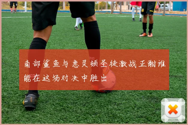 南部鲨鱼与惠灵顿圣徒激战正酣谁能在这场对决中胜出