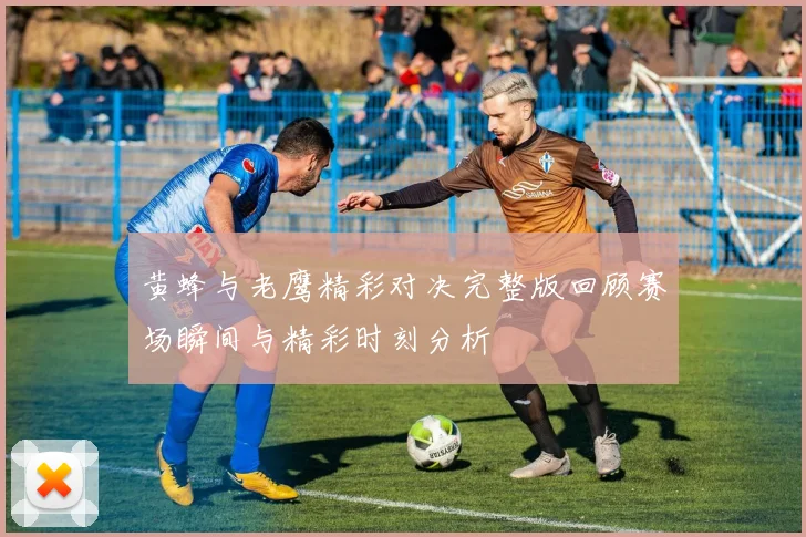 黄蜂与老鹰精彩对决完整版回顾赛场瞬间与精彩时刻分析