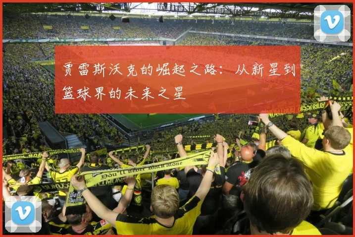 贾雷斯沃克的崛起之路：从新星到篮球界的未来之星