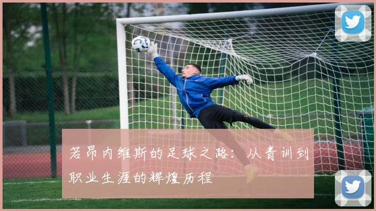 若昂内维斯的足球之路：从青训到职业生涯的辉煌历程