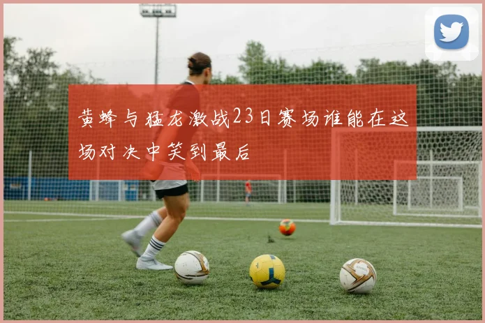黄蜂与猛龙激战23日赛场谁能在这场对决中笑到最后
